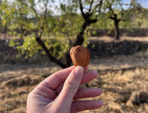 IDEAS y La Almendrehesa por una agricultura que cuida el territorio