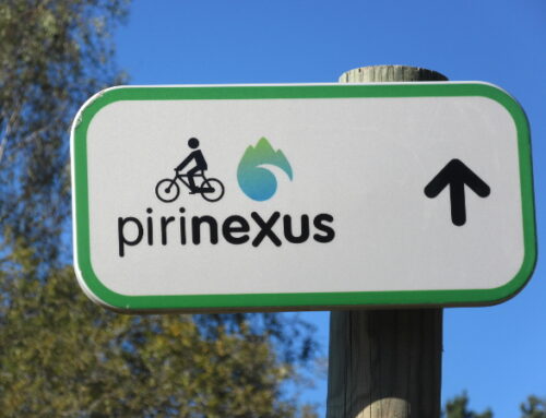 Pirinexus, 10-15 junio 2025