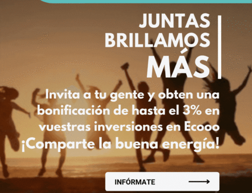 https://ecooo.es/terminos-y-condiciones-juntas-brillamos-mas/
